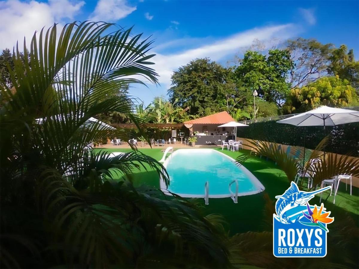 Roxy'S Bed & Breakfast Boca Chica Exterior photo